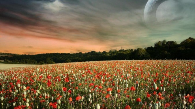 据报道称“浏览器内核有上千万行代码”，浏览器内核真的很复杂吗？